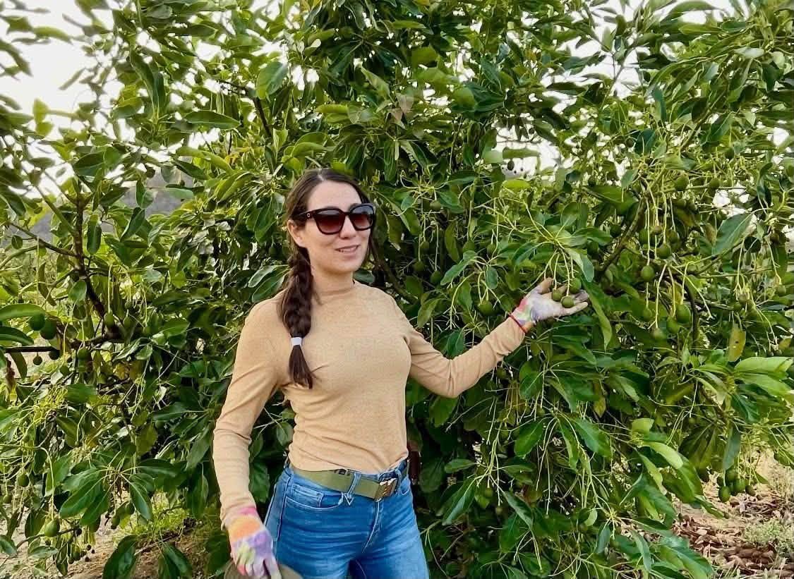 Arbol bien nutrido